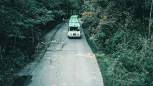 Deliveright's Record Revenue