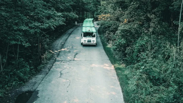 Deliveright's Record Revenue