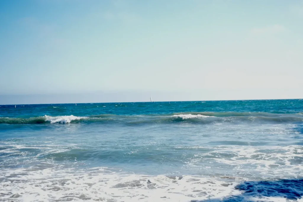 Korean Air and Delta Partner to Clean Up Santa Monica Beach
